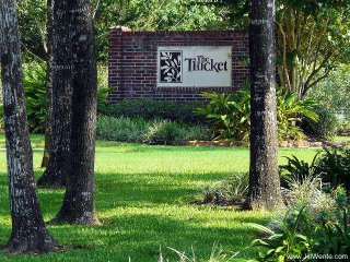The Thicket Spring Texas