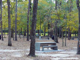 mercer-arboretum-picnic-tables.jpg