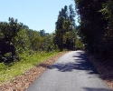 Trails at Collins Park