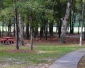 Devonshire Woods Walking Trails underneath the trees