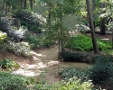 Deep foliage at Mercer Gardens