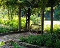 Mercer Botanic Gardens bench
