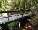 mercer-arboretum-bridge.jpg