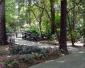mercer-arboretum-trail.jpg