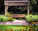 mercer-botanic-gardens-bench.jpg