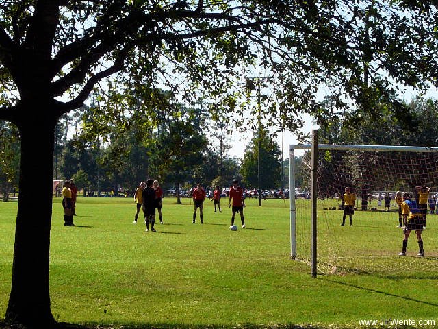 Discover Meyer Park in Spring