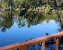 Meyer Park's fishing lake