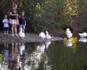 Meyer Park duck pond