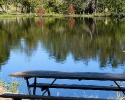 Meyer Park fishing lake