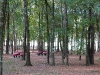 devonshire-woods-picnic-tables