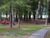 devonshire-woods-trails