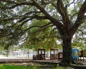 Spring Creek Forest playground 