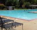 Spring Creek Forest Pool
