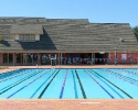 Spring Creek Oaks Pool