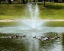 Spring Lakes