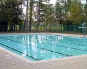 Spring Lakes Swimming Pool
