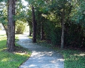 Spring Lakes trails