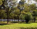 Spring Trails lake