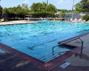 The Thicket pool
