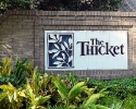 Thicket subdivision