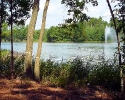 WindRose lake