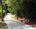 Trails at WindRose