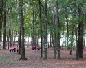 Devonshire Woods park