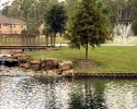 Lakes of Cypress Forest