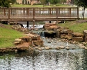 Lakes of Cypress Forest