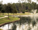 Lakes of Cypress Forest