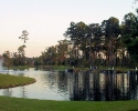 Lakes of Cypress Forest