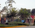 Lakes of Cypress Forest gated community