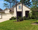 Stone Forest homes