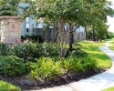 Stone Forest sidewalks