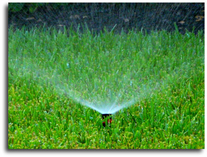 Spring Texas homes sprinkler systems