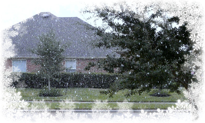 December 4th snowfall in spring texas