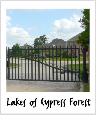 Lakes of Cypress Forest