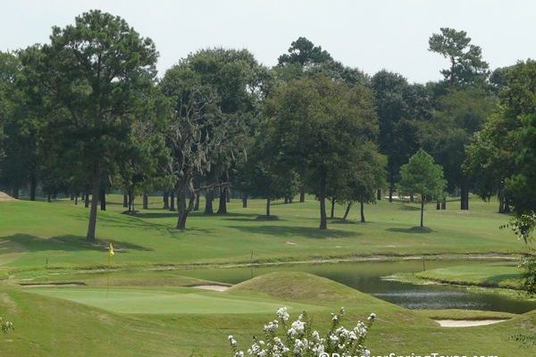 Champion Forest golf course