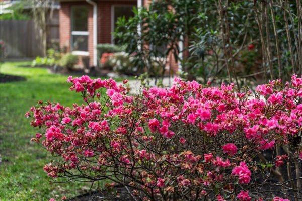 Homes for sale in Humble, Texas